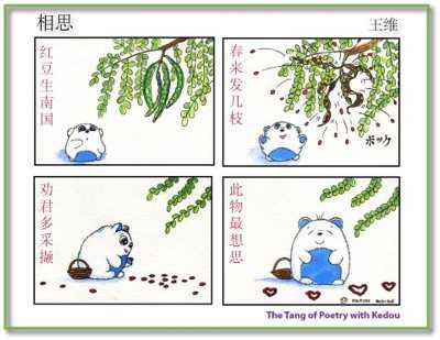 Saga Seeds (相思豆)